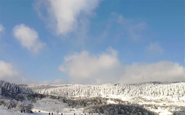 冬季重庆一日游推荐：仙女山雪景