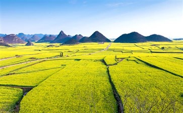 重庆自驾旅游：罗平油菜花