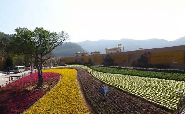 春天厦门旅游：十里蓝山花海