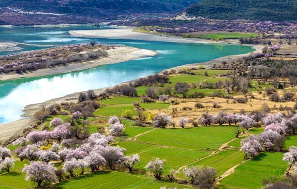 西藏旅游：春季桃花沟