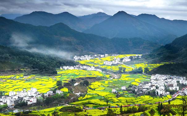 春季婺源旅游：婺源油菜花美景