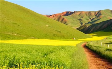 青海祁连卓尔山