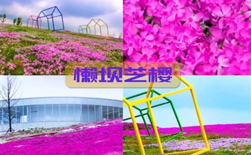 武隆懒坝艺术度假区：芝樱