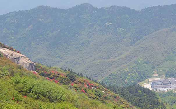 春天湖南旅游：南岳衡山杜鹃花