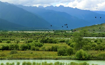 西藏旅游：雅尼湿地公园