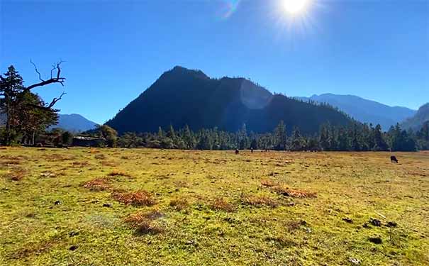 西藏林芝旅游：南伊沟美景