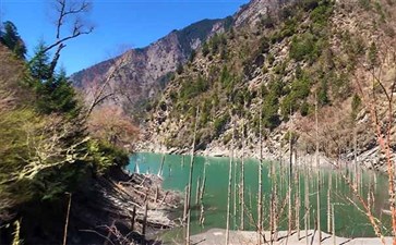 川西旅游：松坪沟春天