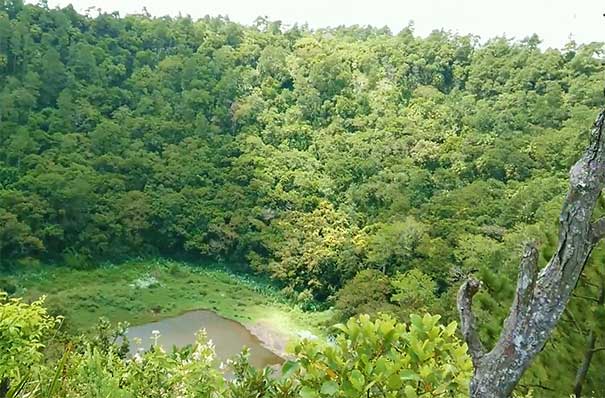 毛里求斯旅游：库尔皮普鹿洞火山口（Trou aux Cerfs Volcano）