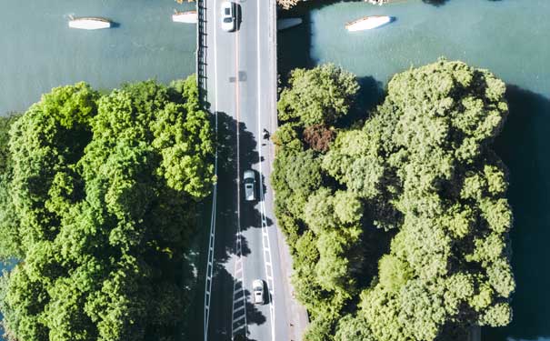 五月旅游推荐：杭州西溪湿地