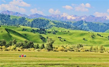 新疆旅游专列：那拉提草原
