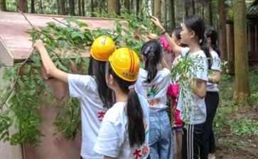 重庆夏令营：黄水森林公园探险营森林拓展