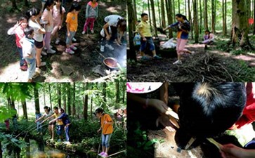 重庆夏令营：黄水森林公园探险营森林探险