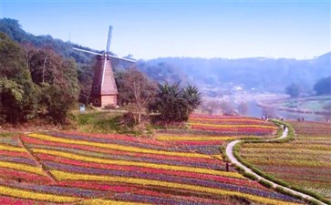 泸州清溪谷花田酒地