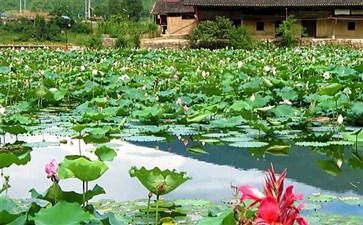 重庆漂流旅游：武隆大田湿地人家