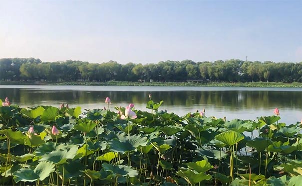 初夏6月北京旅游湖泊推荐：罗马湖
