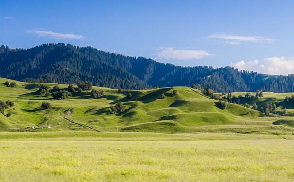 新疆旅游：伊犁那拉提空中草原