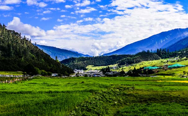 夏季西藏旅游消暑地：林芝鲁朗林海