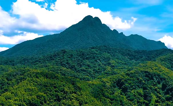 8月海南旅游推荐：五指山