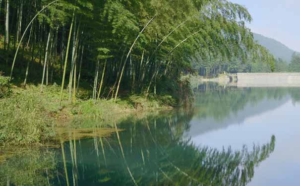 四川旅游精选美食线路推荐：宜宾蜀南竹海