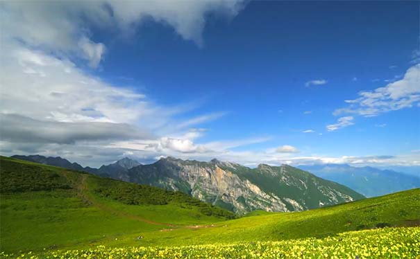 成都周边好玩的地方推荐：九顶山盛夏花开