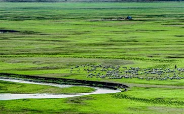 东北旅游：内蒙古呼伦贝尔莫日格勒河