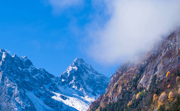 四姑娘山旅游长坪沟美景