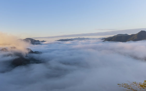 福建武夷山旅游：云海