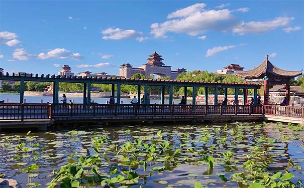 夏季北京旅游赏荷花推荐：莲花池公园