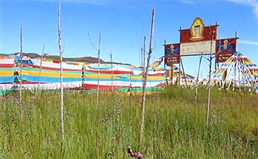青海旅游专列：青海湖金银滩草原