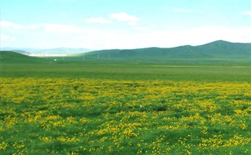 重庆自驾游：川西红原草原