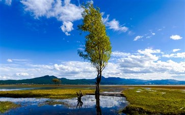 昆大丽旅游：丽江拉市海湿地公园