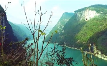 重庆武隆旅游：乌江画廊鹦哥峡观景台