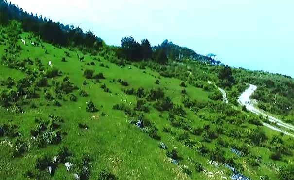 重庆周边旅游：石柱黄水千野草场