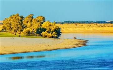 额济纳旗弱水金沙湾胡杨林