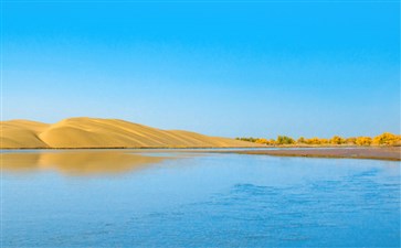 额济纳旗弱水金沙湾胡杨林-重庆青年旅行社