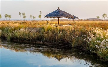 西北三省旅游：宁夏银川沙湖