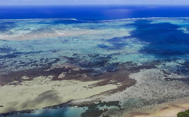毛里求斯旅游：海岸线珊瑚