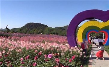 百里杜鹃彝山花谷景区-重庆青年旅行社