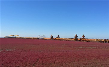 东北旅游：辽宁盘锦红海滩