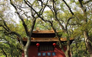 普陀山旅游：法雨禅寺