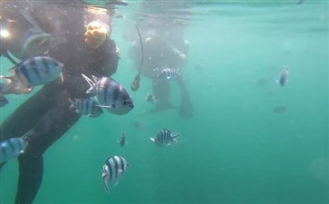 海南三亚旅游：三亚潜水