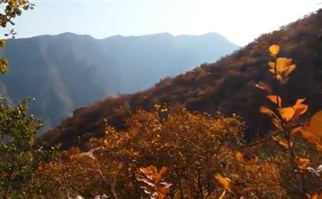 北京旅游：秋季香山公园红叶