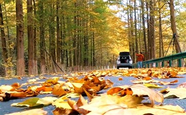 陕西秦岭黄柏塬高江路最美乡村公路秋色