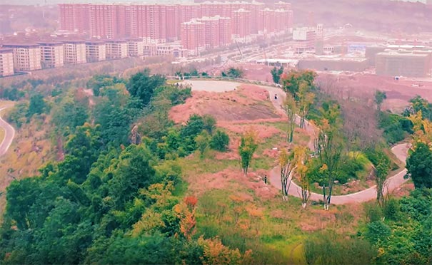 秋季旅游好去处：重庆渝北粉壁公园