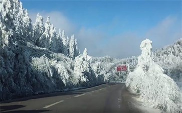 武隆仙女山雪景