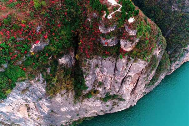 重庆三峡旅游：奉节夔门红叶