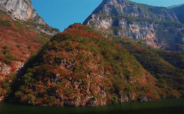重庆三峡旅游：巫山小三峡红叶