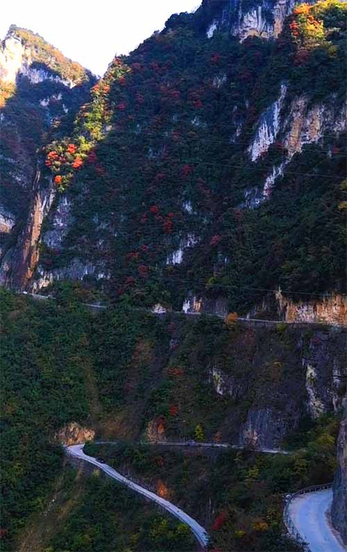 重庆三峡旅游：巫山下庄天路红叶