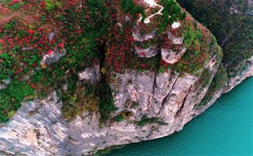 重庆三峡游：瞿塘峡红叶