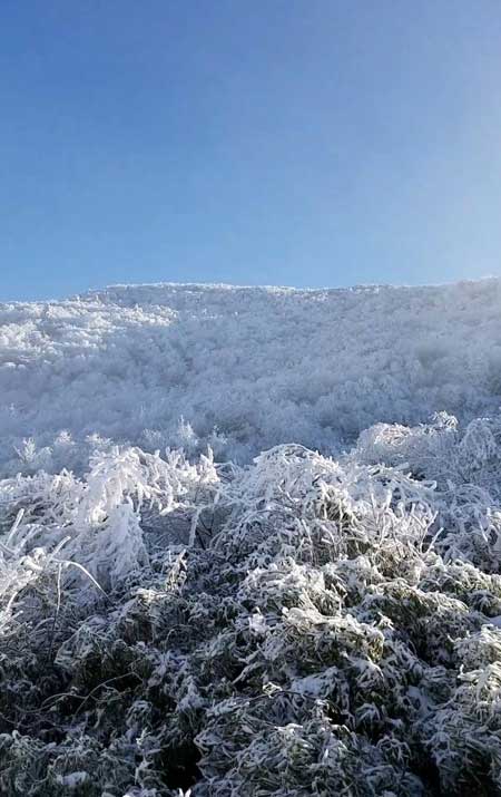 冬季重庆旅游：金佛山雪景